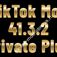 TikTok Mod 41.3.2 Private Plus